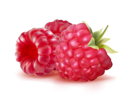 Raspberries closeup on a white background. Vector illustrationのイラスト素材