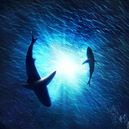 Illustration of two sharks forming a circle underwaterの写真素材