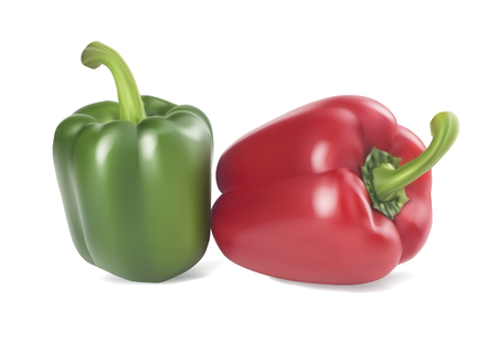 Red and green bell peppers. Vector realistic illustration isolated on white background.のイラスト素材