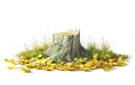 Stump with leaves isolated on a white. 3d illustrationの写真素材