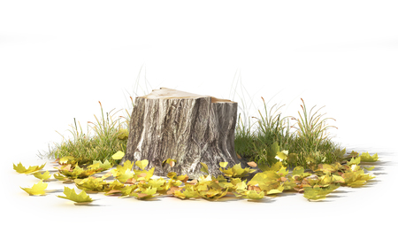 Stump with leaves isolated on a white. 3d illustrationの写真素材