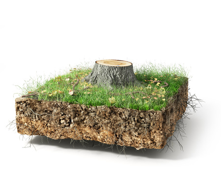 Stump with leaves isolated on a white. 3d illustrationの写真素材