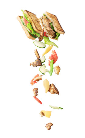 Ingredients fly out from a broken sandwich isolated on white backgroundの写真素材