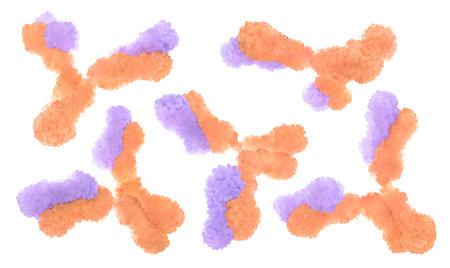 Antibodies in different positions isolated on a white background. 3d Illustration