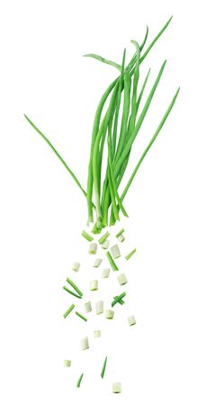 Sliced green onion drops isolated on a white backgroundの写真素材
