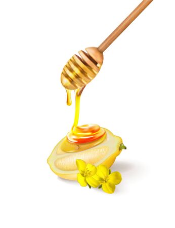 vector illustration wooden stick for honey with honey lemon flowerのイラスト素材