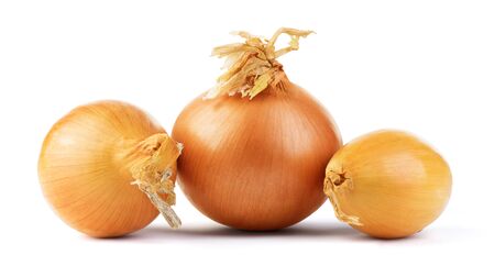 Several golden onions isolated on a white backgroundの写真素材
