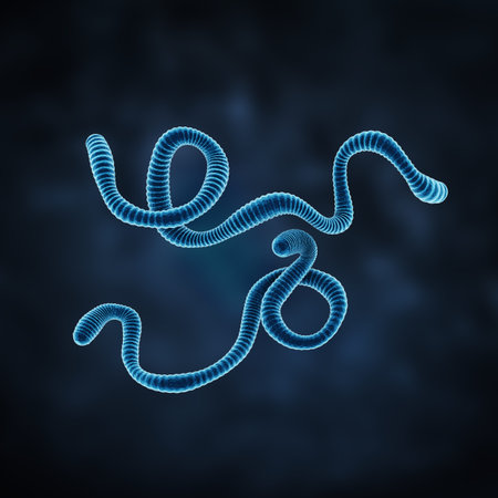 Ebola virus on a dark background. 3d illustration