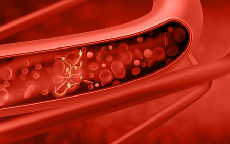 Red blood cells in vein. Vector illustration