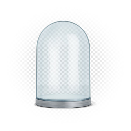 Glass, rounded, elongated showcase of an exhibition or galleryのイラスト素材