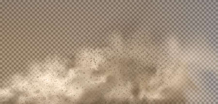 Dust cloud with particles with dirt,cigarette smoke, smog, soil and sand particles. Realistic vector isolated on transparent background.のイラスト素材