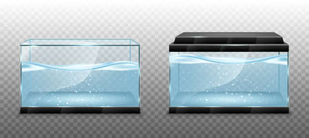 Realistic transparent aquarium with water inside. Vector illustration isolated on transparent backgroundのイラスト素材