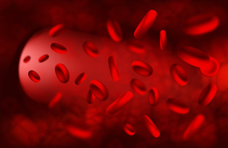 Red blood cells in artery, flow inside body. Vector medical concept