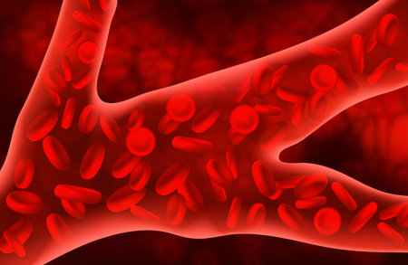 Red blood cells flow inside in artery. Vector medical concept