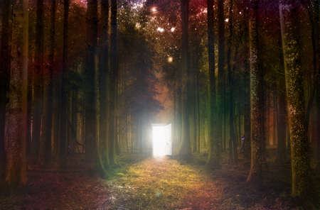 Unusual light in door of the middle of a fantasy night forest. 3d illustration.の写真素材