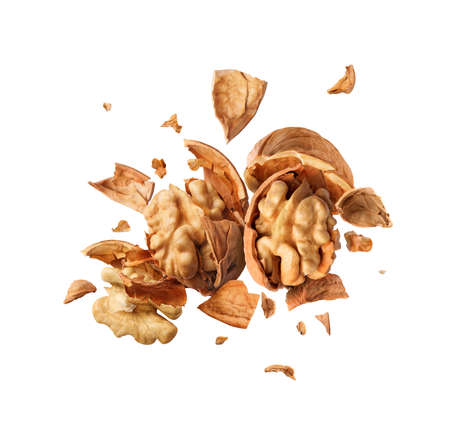 two walnuts collided in the airの写真素材
