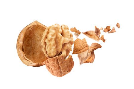 the walnut is blown to pieces