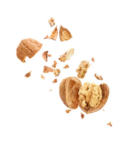 Walnuts in flight on a white backgroundの写真素材