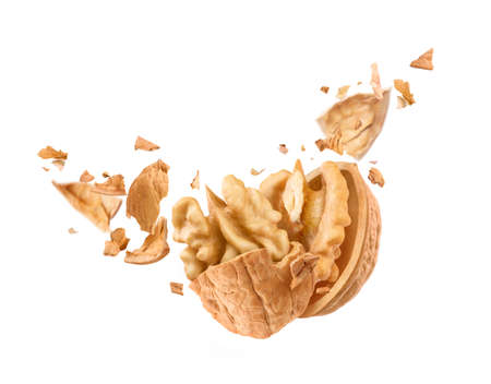walnut flies in the air on a white backgroundの写真素材