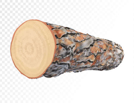 A log for industrial needs. Vector illustration on a transparent background.のイラスト素材