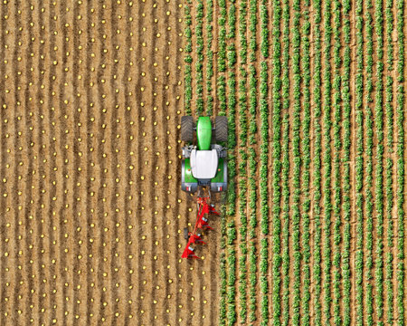 Top view on a tractor with a plow among the field, potato seeding process, tractor divides the field...
