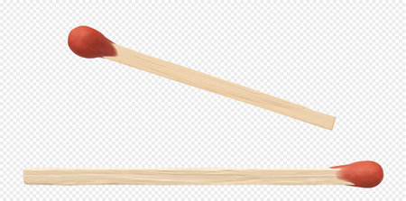 two matchsticks on a transparent background. Vector illustrationのイラスト素材