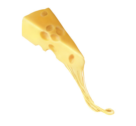 A piece of melted cheese on a white backgroundの写真素材