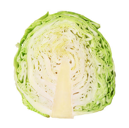 Green cabbage cut in half on a white isolated backgroundの写真素材