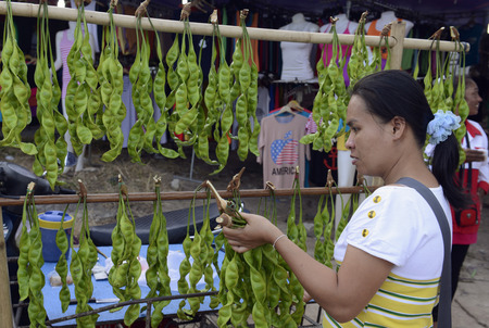 Vegetables on a regional market on the island of Phuket in southern Thailand in Southeast Asiaのeditorial素材