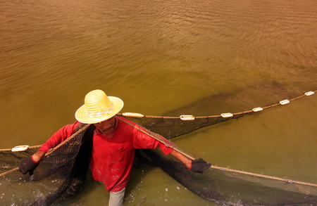A shrimp farming in the countryside of Khao Sam Roi Yot National Park on the Gulf of Thailand in the south west of Thailand in South East Asiaのeditorial素材