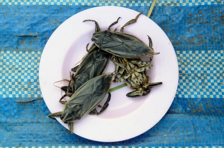 Insects at the market in Amnat Charoen in Isan in the east of Thailand,