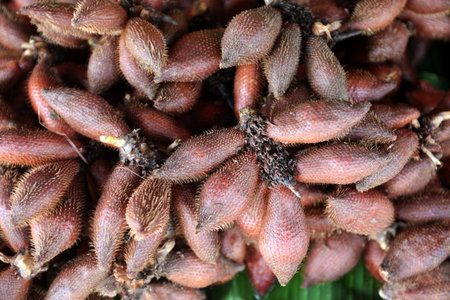 People on the Great Food Market Talat Warorot in Chiang Mai in northern Thailand