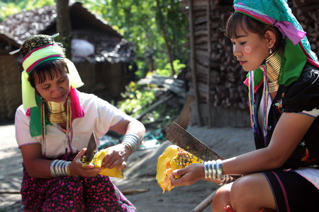 A traditionally dressed wife of a long-necked Paudang tribe from Burma living in a village north of Chiang Mai in northern Thailandのeditorial素材