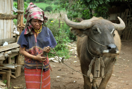 Traditionally dressed woman from a strain of the Lahu or the Lisu dof Chiang Dao north of Chiang Mai in the north of Thailandのeditorial素材
