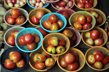 Tomatoes on the market of Nonthaburi in the north of Bangkok, capital of Thailand in South East Asiaの写真素材