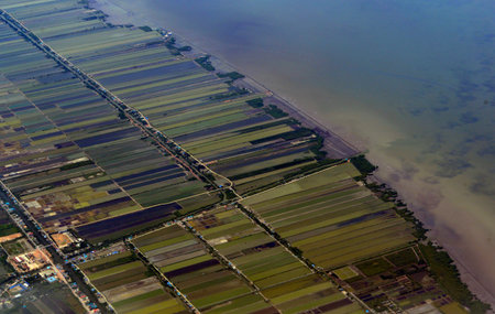The fish, shrimp and salt farms in Samut Sakhon on Ao Krung Thep in the Gulf of Thailand south of the capital Bangkok of Thailand in South East Asiaの写真素材