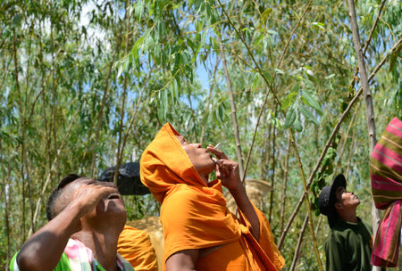 Monks watching a rocket launch at traditioellen Bun Bang Fai Rocket Festival or or Rocket Festival in Ban Si Than in the province Amnat Charoen north-west of Ubon Ratchathani in the northeast of Thailand in South East Asiaのeditorial素材
