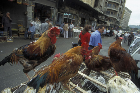 The Souq or market in the medina of the old city of Aleppo in northern Syria in the Middle Eastのeditorial素材