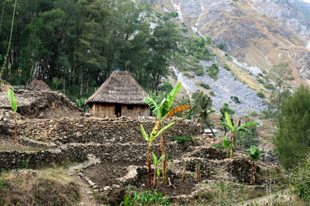 A traditional house in the mountain village of Maubisse south of Dili in East Timor on the island of Timor separated into two in Asiaの写真素材