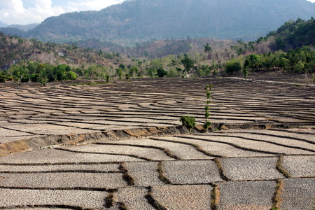 Dry rice fields at Loihuno in Zental East Timor on the island of Timor separated into two in Asiaの写真素材