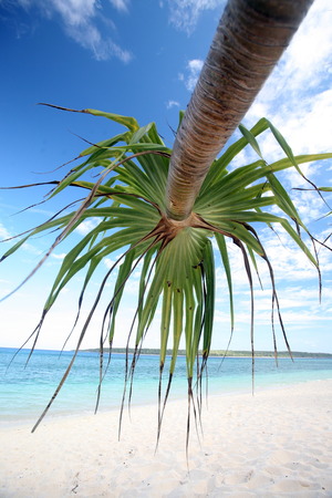 Asia, Southeast Asia, East Timor, Timor-Leste, Timor, East Coast, Tutuala, Jaco Island Iceland, beach, LandschaftDer dream beach on the island of Jaco Iceland in the east of East Timor in Southeast Asia Urs FlÃ¼elerの写真素材