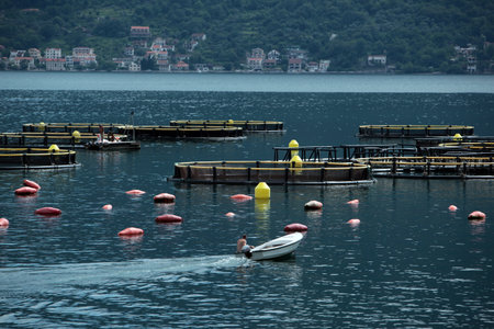 The old town of Kotor in the inner Bay of Kotor in Montenegro in the Balkans, the Mediterranean Sea...