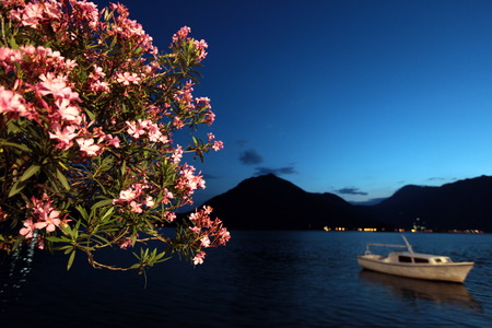 An evening on the promenade of Persat in the inner Bay of Kotor in Montenegro in the Balkans, the Mediterranean Sea in Europeの写真素材