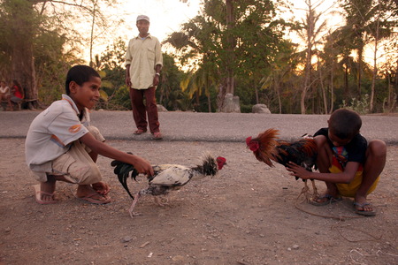 The weekly market in the mountain village seed south of Dili in East Timor on the island of Timor separated into two in Asiaのeditorial素材