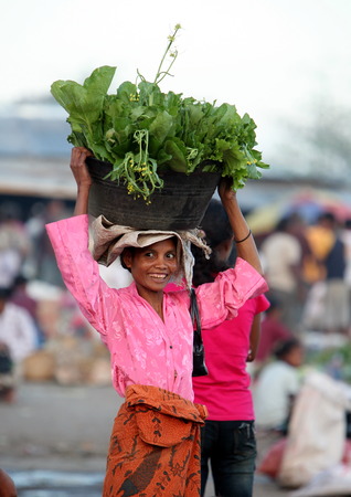 The weekly market in Lospalos in East Timor on the island of Timor separated into two in Asiaのeditorial素材