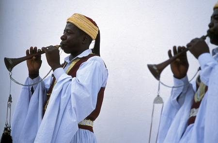 Musicians at a gig in Houmt Souq on the island of Jerba in Tunisia on the Mediterranean in North Africaのeditorial素材