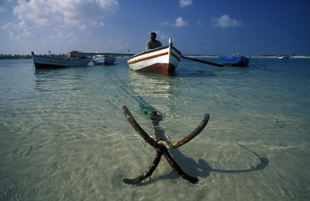 Ein Sandstrand auf der Insel Jierba im Sueden von Tunesien in Nordafrika.  のeditorial素材