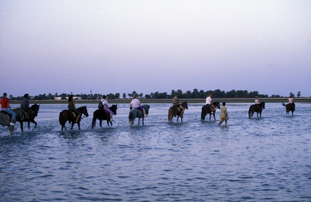 Africa, Tunisia, JerbaEine riding tour through the lagoon at the beach on the island of Jerba in Tunisia sueden of URS FlÃ¼elerのeditorial素材