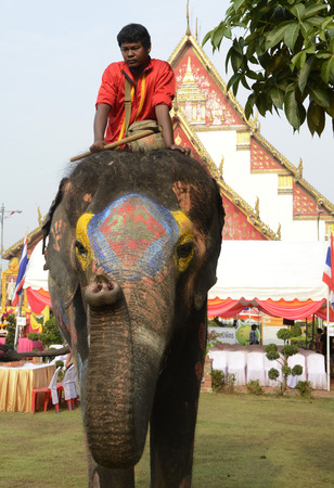 Das Songkran Fest oder Wasserfest zum Thailaendischen Neujahr ist im vollem Gange in Ayutthaya noerdlich von Bangkok in Thailand in Suedostasien.  のeditorial素材