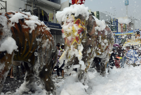 Das Songkran Fest oder Wasserfest zum Thailaendischen Neujahr ist im vollem Gange in Ayutthaya noerdlich von Bangkok in Thailand in Suedostasien.  のeditorial素材